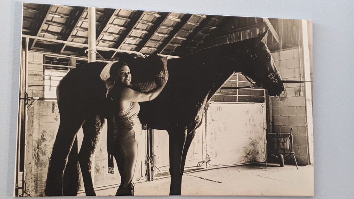 Picture of a past show horse.