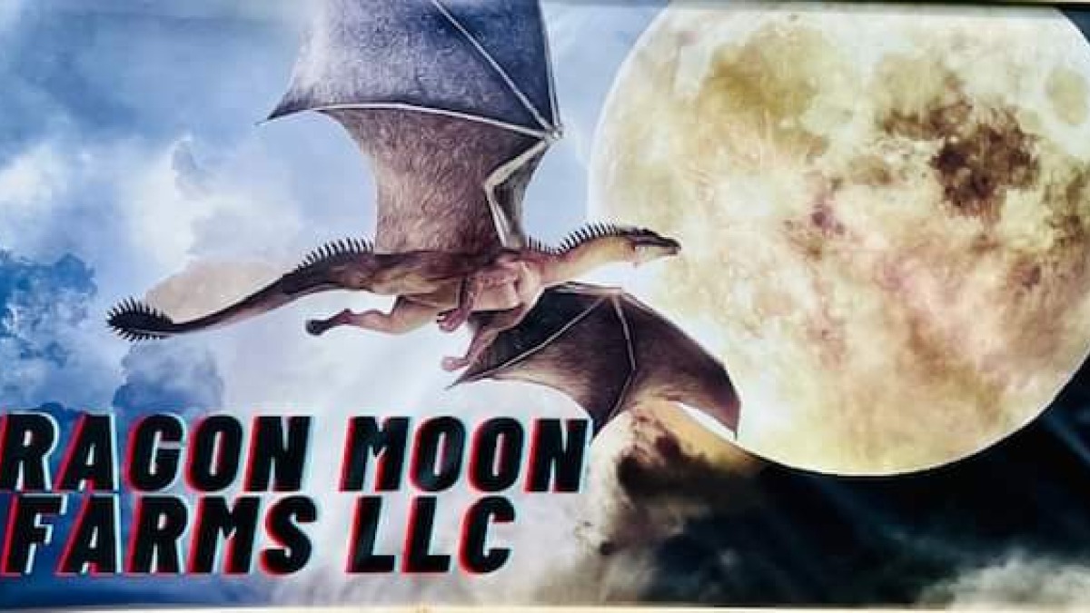 I have an active LLc 
