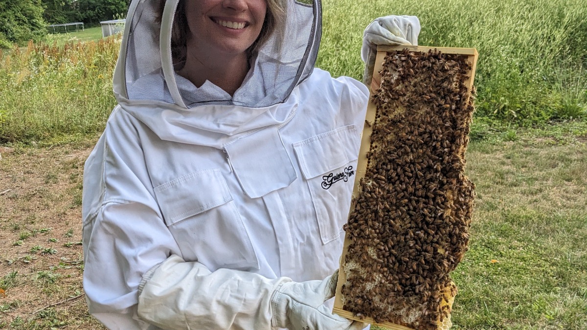We brought honeybees onto our property in 2023