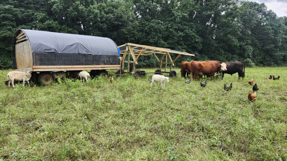 100% mobil structures for grazing year around. 