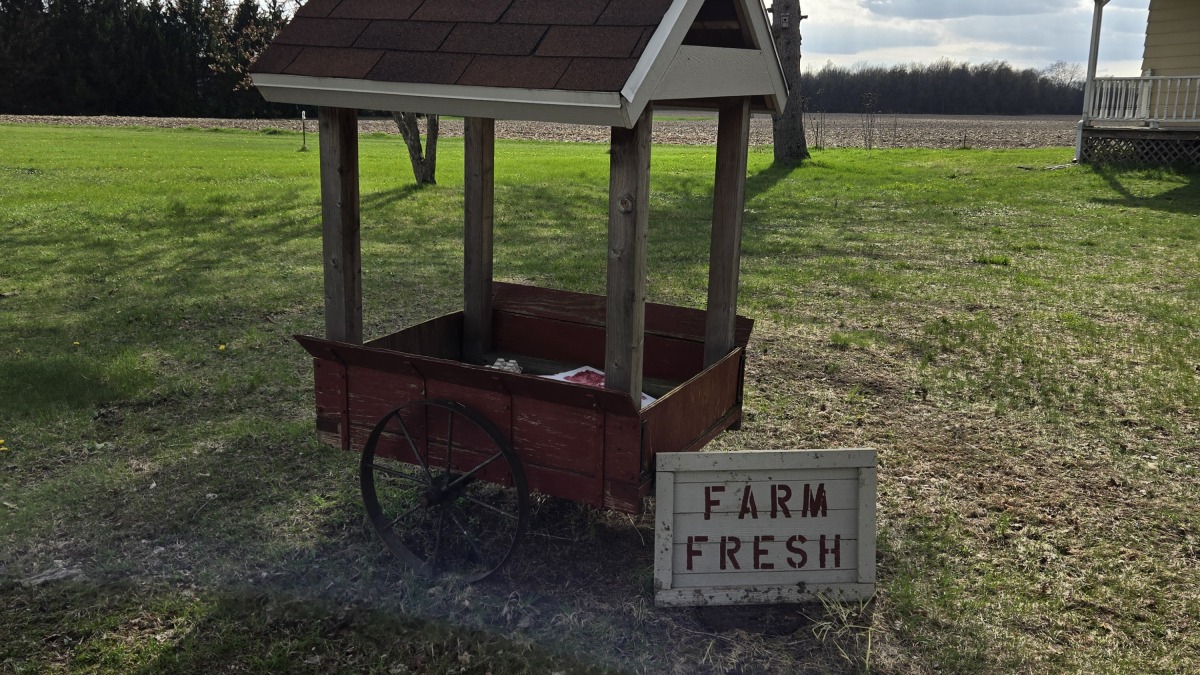 The first stand we used for eggs.