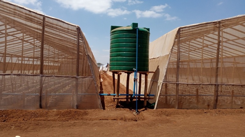 Greenhouse - Malawi, Africa