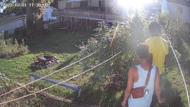 DeVaughn Sr. and Demaaj Brooks checking on the plants on October 1, 2023.