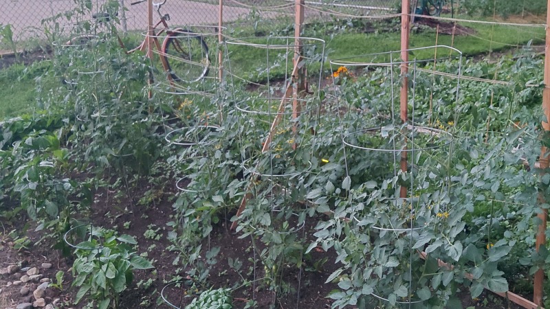Community garden plot