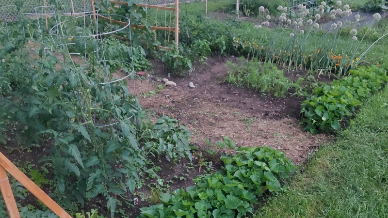 Community garden plot