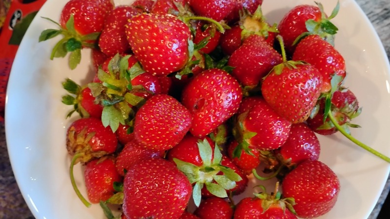 Strawberries 