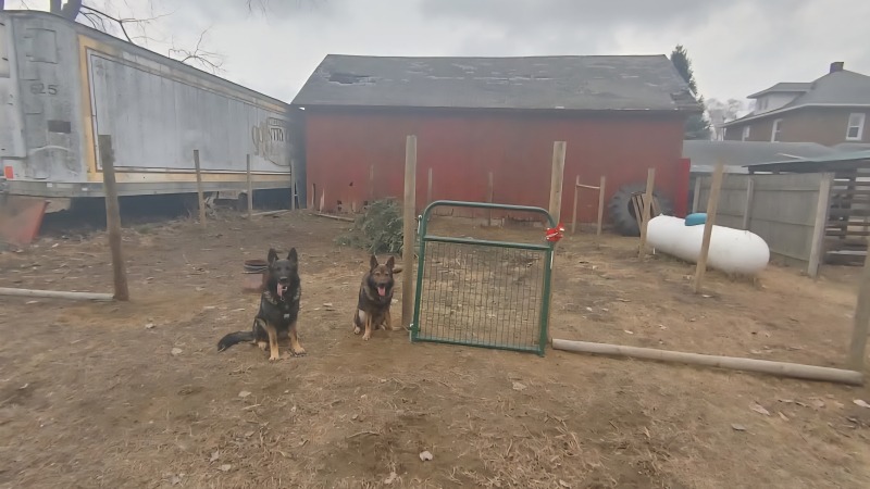 Building goat pen