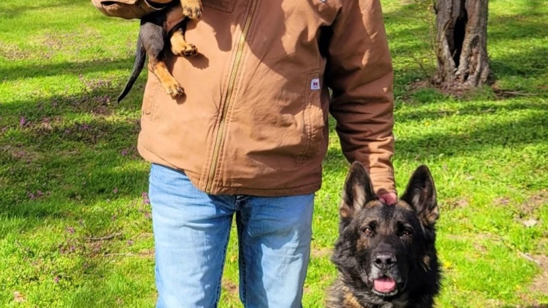 Charles with the dogs