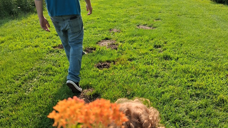 Our daughter handed us some flowers she picked 