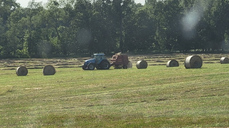 We make our own hay that we feed through the winter. 