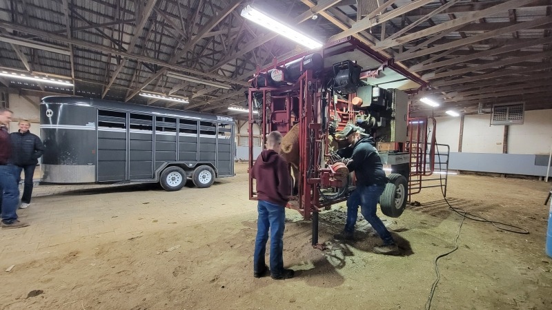 Ijme hoof trimming at the Washtenaw County Fairgrounds as a special service day for local kids and families.  This allowed for a more affordable option for people that have just a few animals that need to be trimmed. 