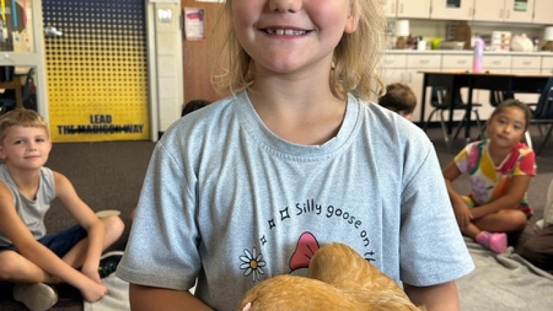 Daughter brought chickens to school