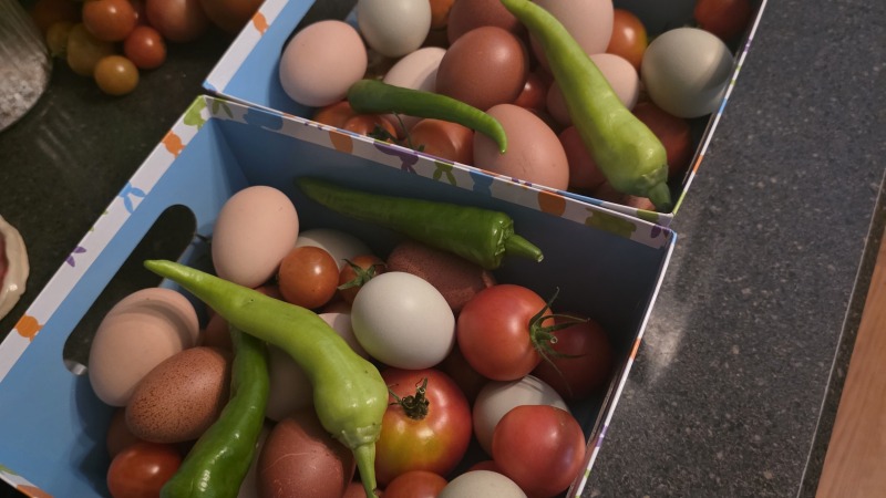 Sharing garden harvest
