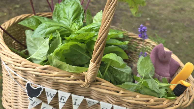 Garden harvest