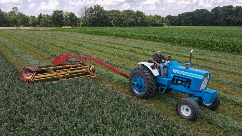 Mowing 2nd cutting