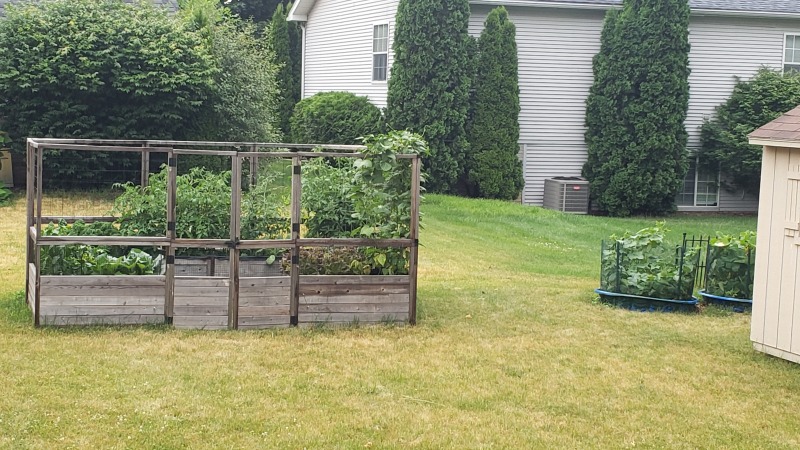 My Vegetable Garden 