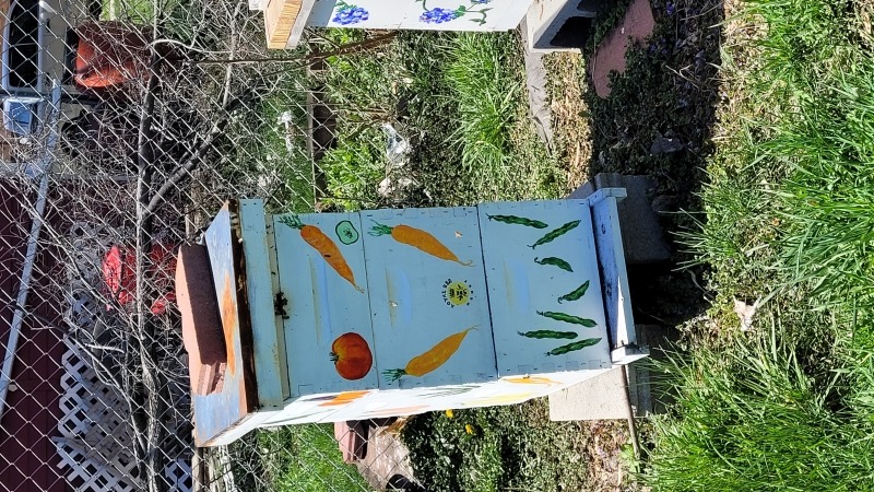 Bee hive at one of the local farms I volunteer at and take workshops at