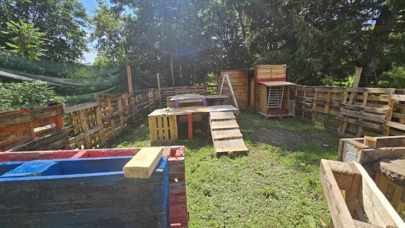 the goat pen, i built from mainly pallets.
