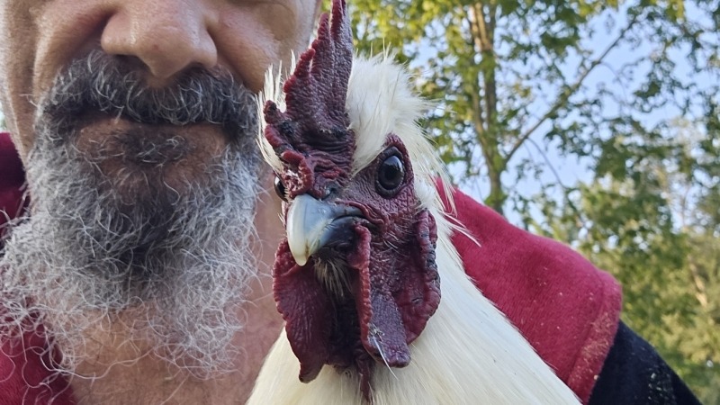 me and Rocky the Rooster