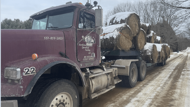 Hauling hay