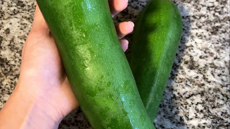 First squash I grew in Michigan years ago