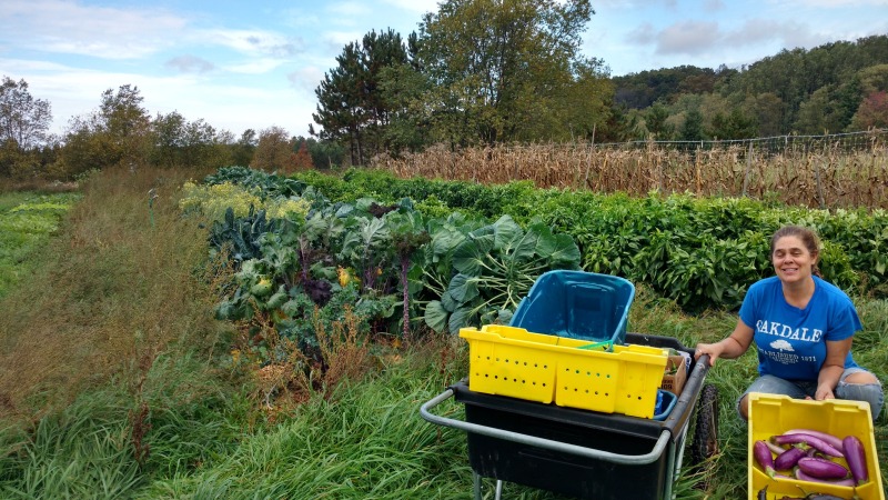 Organic agricultural in Maple City