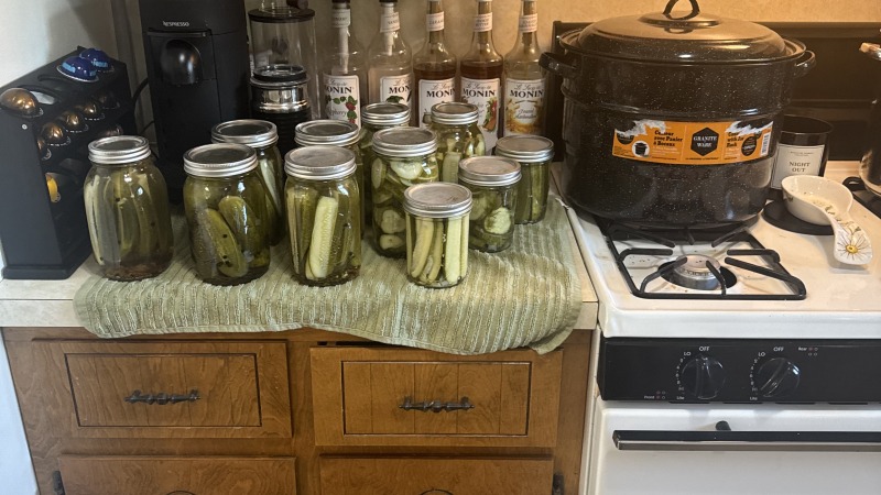 Canning pickles