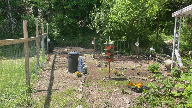 Our vegetable and berry garden mapped out 2025. 