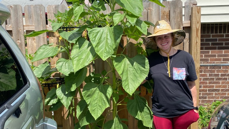 Woman with a mammoth sunflower