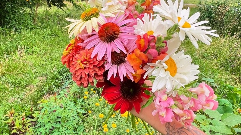 Mixed flowers