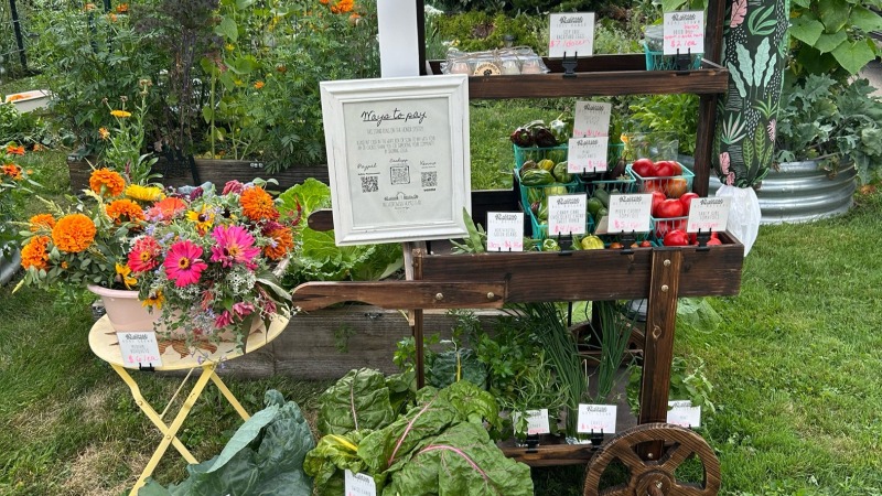 A farmstand cart with flowers, eggs, and vegetables 