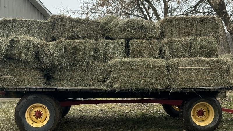 wagon awaiting customer 