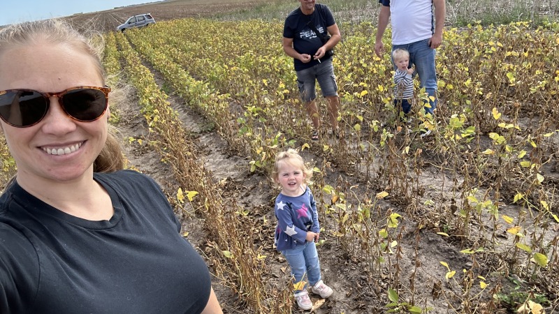 Land I share with my father in Serbia. Checking out how our soybean is doing.