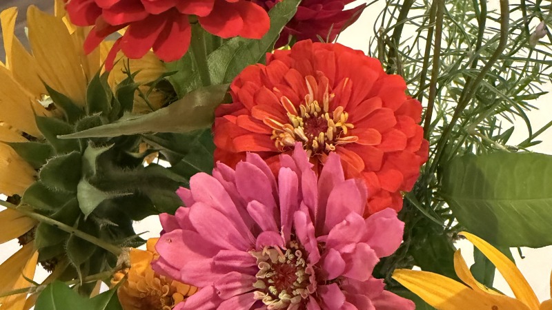 Bouquet 