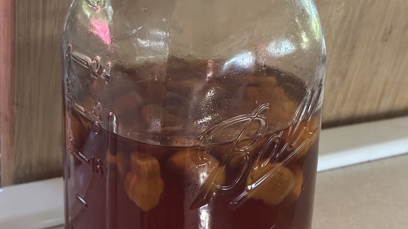 Homemade Fermented garlic honey