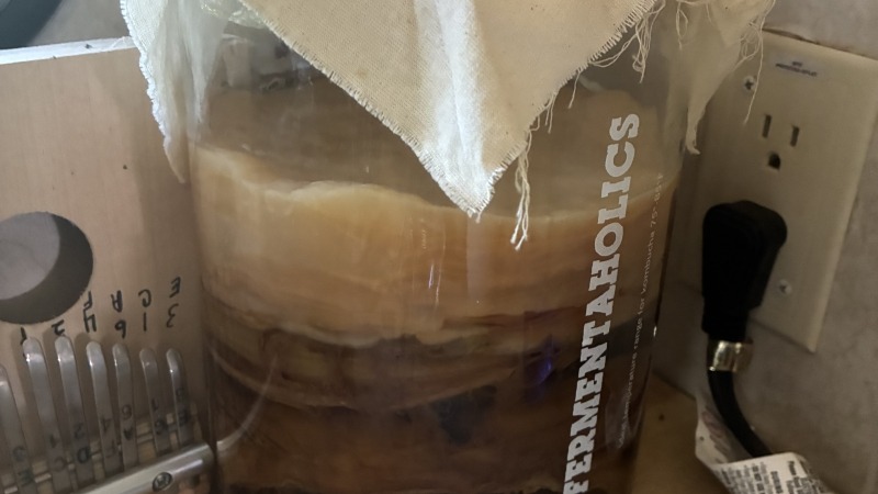 Homemade kombucha 
