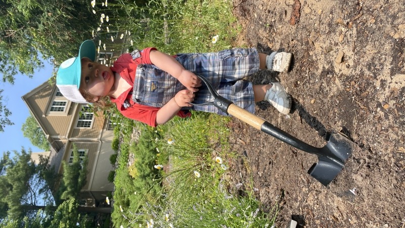 Working in the veggie garden 