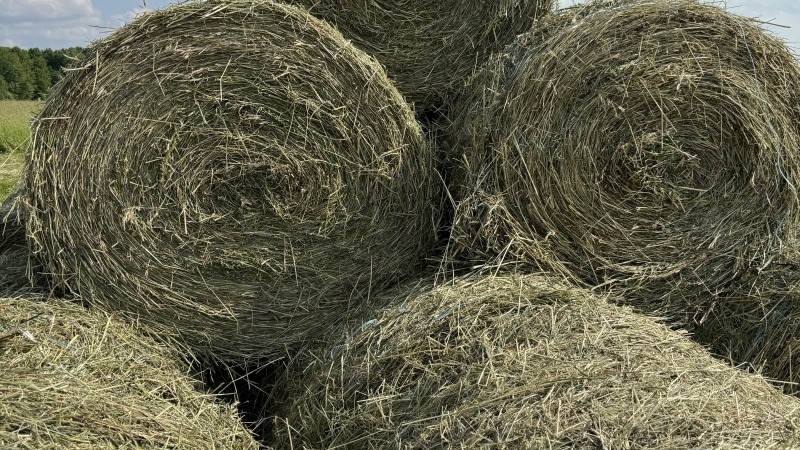 Round hay operation 