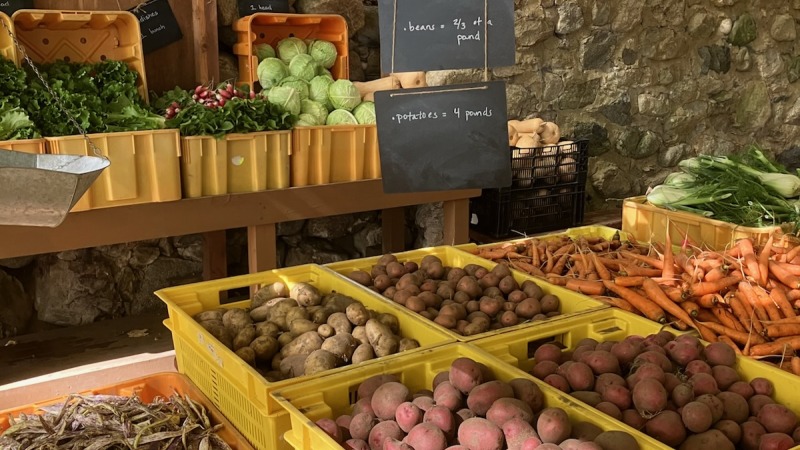 late season CSA distribution