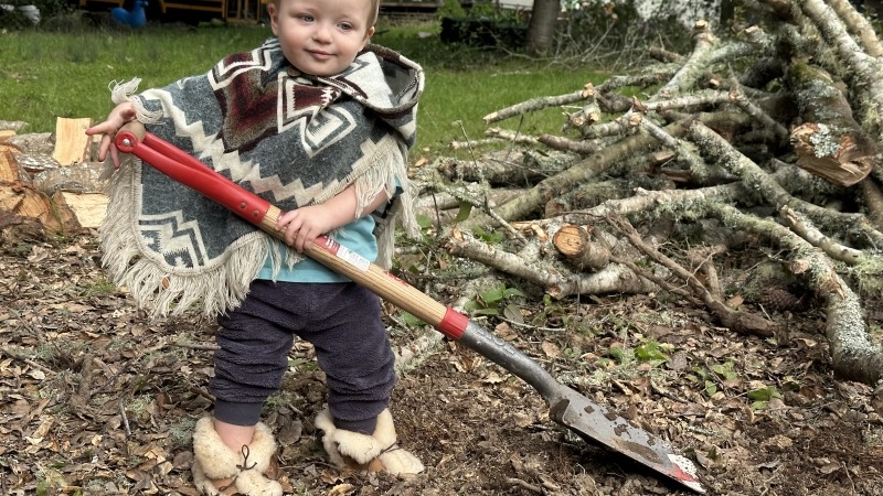 Indigo learning hugelkulture early after trees fell from a storm.