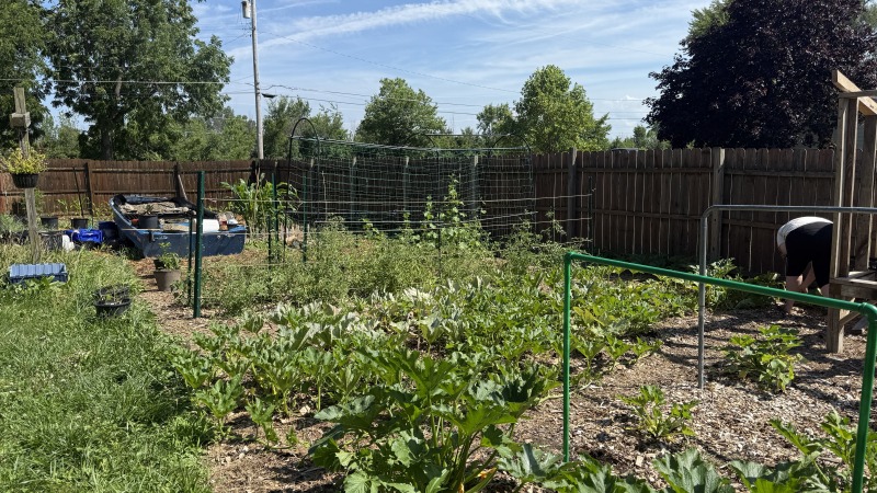 My small garden set up