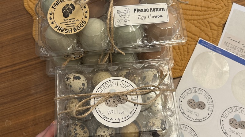 Cartons or quail and chicken eggs