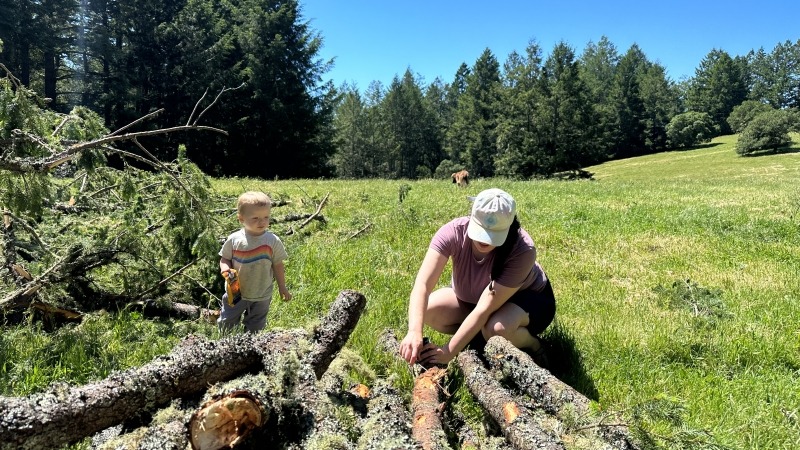 Mariah harvesting fir resin with our son Indigo.