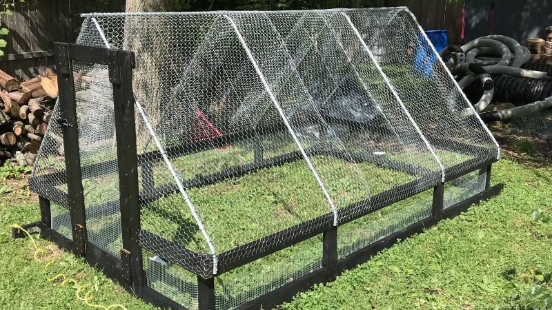 Chicken tractor 