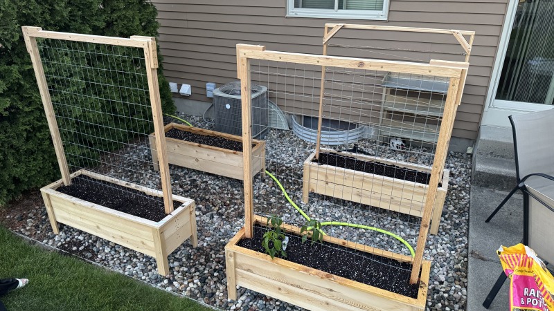 Our cedar planter boxes