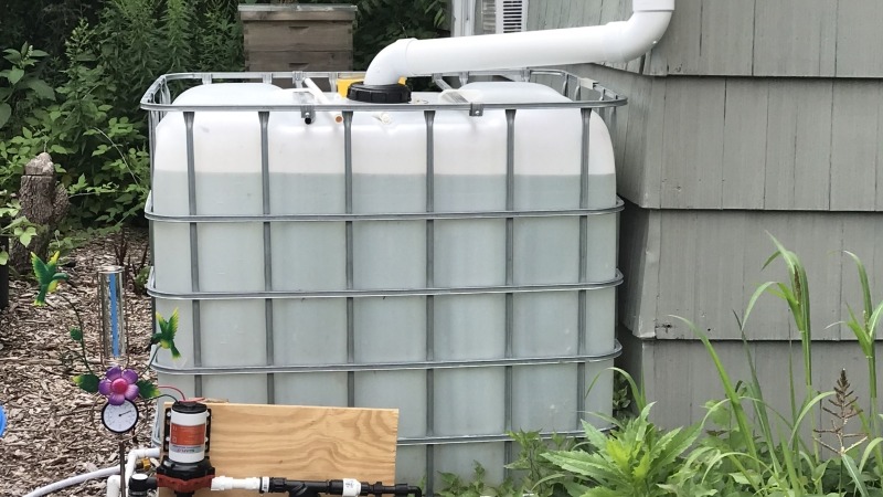 Rain water harvesting 
