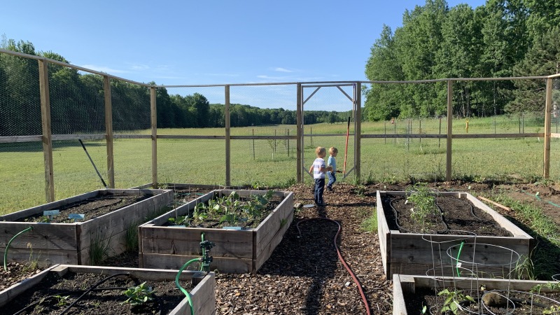 Newly planted raised bed gardens in a fenced garden area.