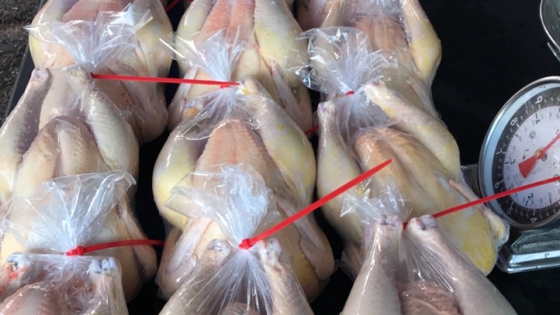 Chicken processing results 