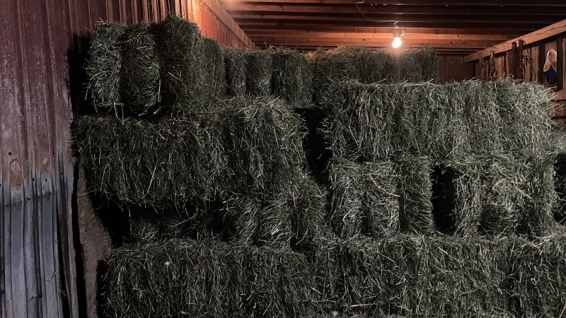Hay stored 