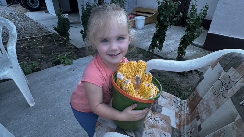 They filled 2 whole buckets in 2 afternoons, even though their little hands were hurting! 😅